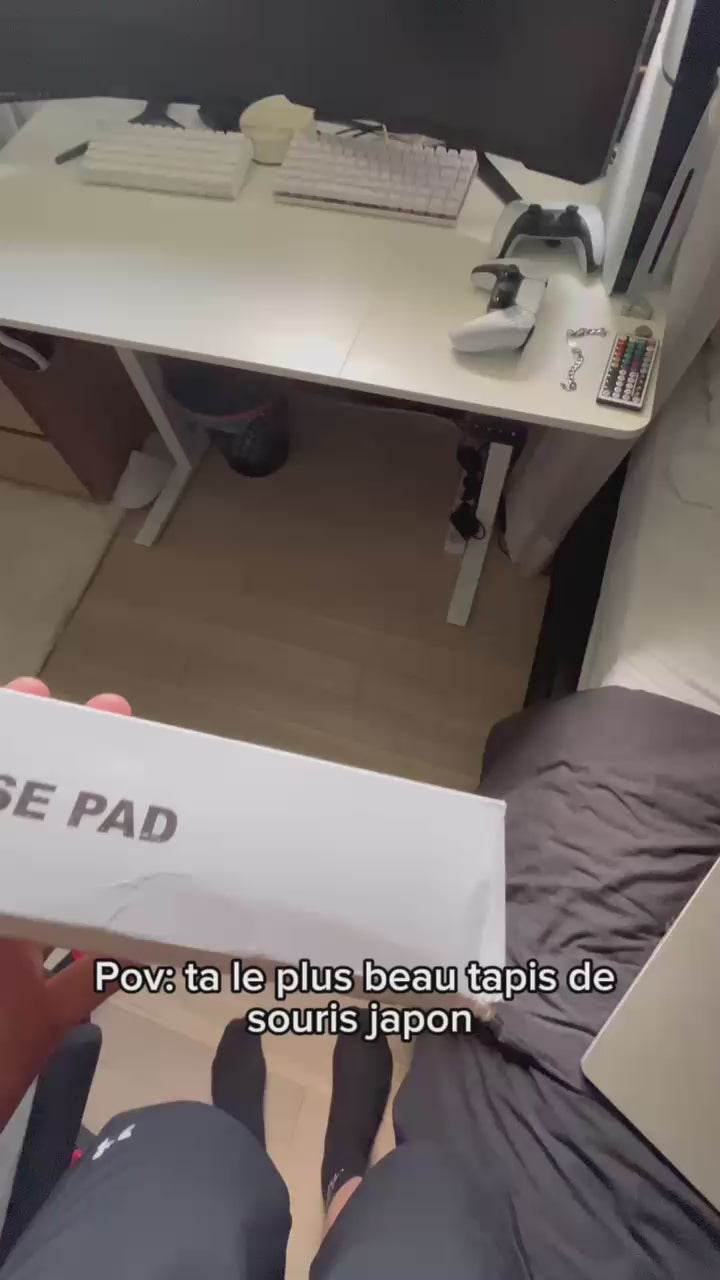 Charger la vidéo : 